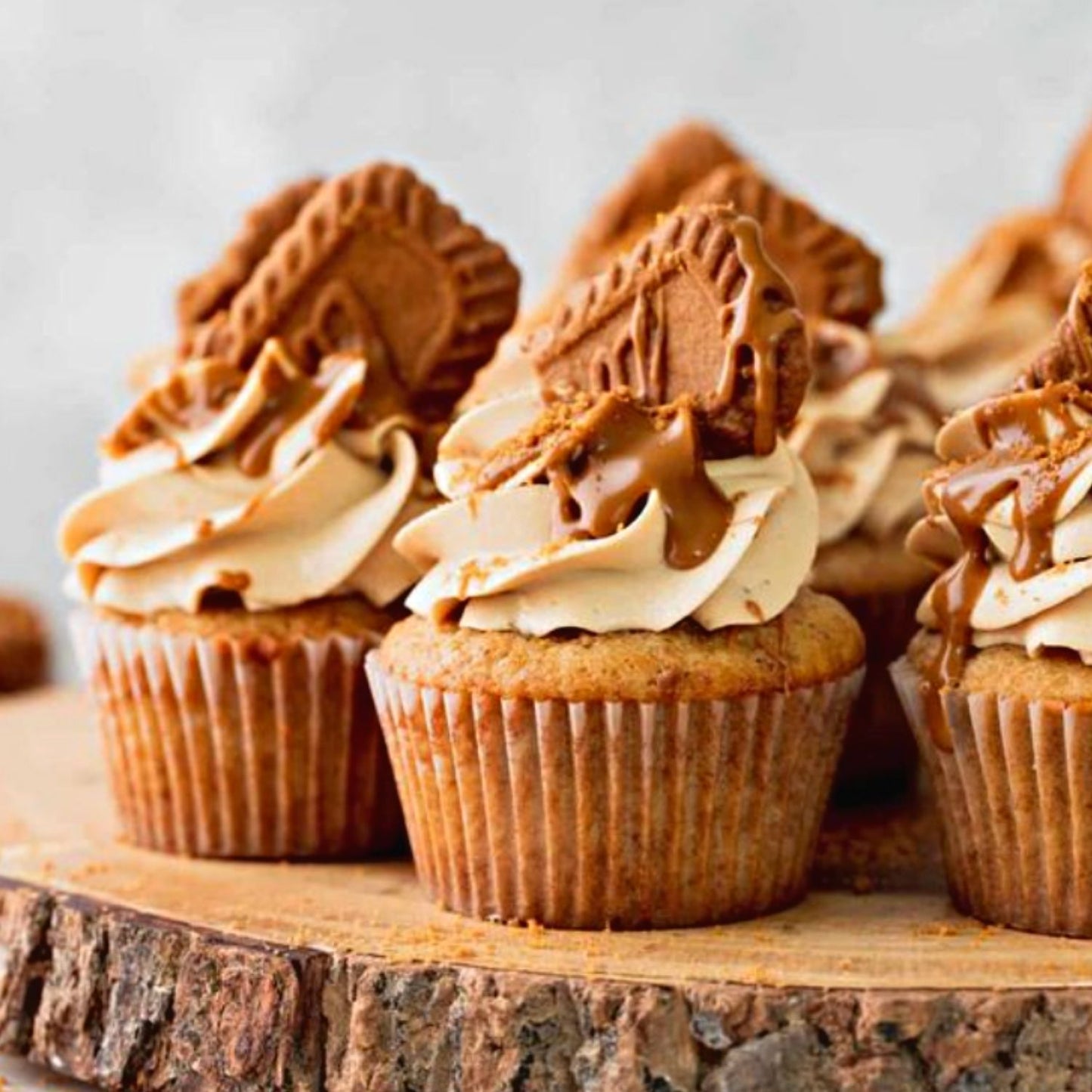 Biscoff Cupcake